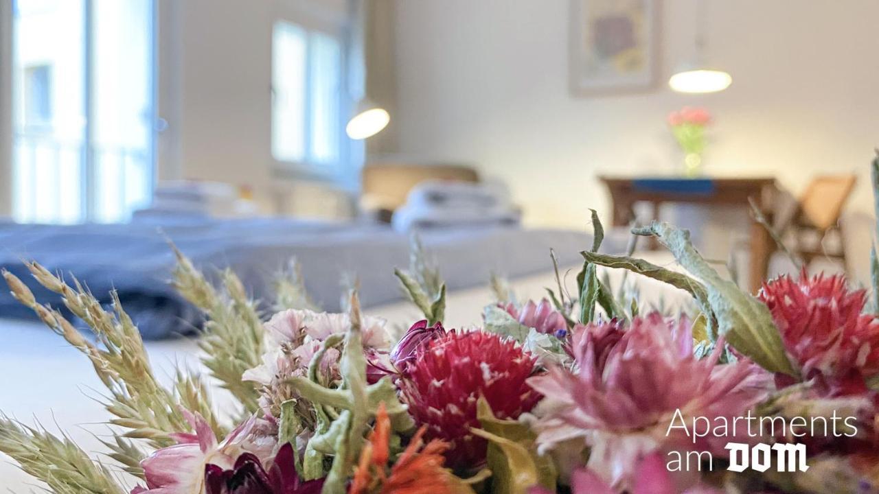 Apartments Am Dom Наумбург Екстериор снимка